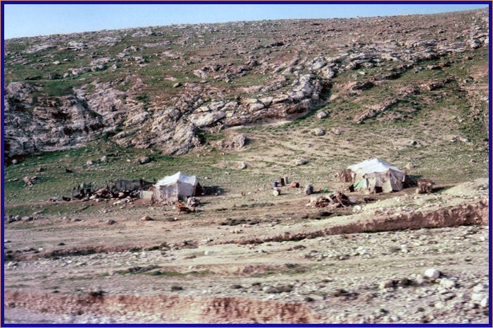 Bedouins living off the side of the Jerusalem-Jericho Rd